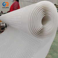 Planche de drainage concave moderne en plastique HDPE durable et imperméable pour tunnels, sous-sols, fondations, jardins, barrages, écoles