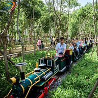 Vente directe usine : Grand train touristique extérieur pour le transport de passagers dans les parcs d'attractions