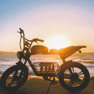 จักรยานไฟฟ้า Dynalion รุ่น Fat Tire Long Range สำหรับผู้ใหญ่ ยางสำหรับปั่นบนภูเขา รุ่น K7-2 K7-2 - Product Image 4
