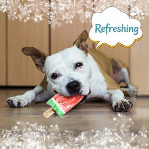 ของเล่นแท่งน้ำแข็งสำหรับสุนัข แช่แข็งได้ ช่วยทำความสะอาดฟัน คลายเหงา ของเล่นสัตว์เลี้ยงแบบมีปฏิสัมพันธ์สำหรับฤดูร้อน - Product Image 4