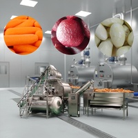 Tomaten, bieten, wortelen, aardappelen stoomschilmachine met een productiecapaciteit tot 8000 kg per uur bespaart arbeid. Stoomschiller.