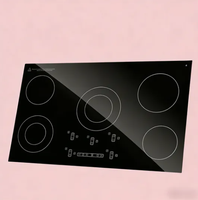 Fabricant chinois de céramique vitrocéramique noire pour panneaux de cuisinières à induction, panneaux de fours à micro-ondes, panneaux de commande tactile