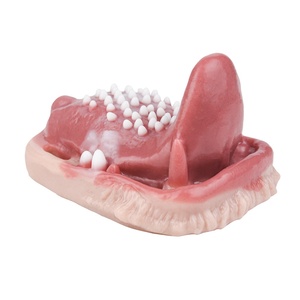 FAAK Vibrador Inalámbrico con Control Remoto, Juguete Sexual de Silicona con Lengua Realista, Estimulador de Glándulas, Próstata y Clítoris - Product Image 3