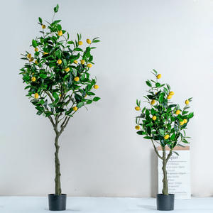 Macetas y jardineras Ins, <span class=keywords><strong>limonero</strong></span>, tienda de ropa en maceta, <span class=keywords><strong>Interior</strong></span> accesorios de decoración para el hogar, adornos, árbol, planta verde - Product Image 1