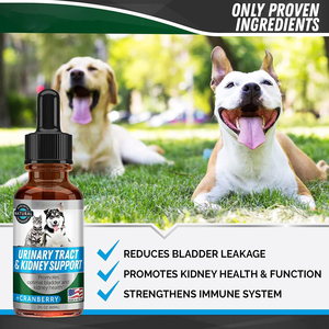 Gouttes liquides personnalisées pour le soutien rénal des animaux de compagnie – Formule à base de plantes naturelles pour chiens et chats – Soin rénal – Fourniture en gros OEM - Product Image 5