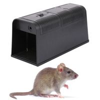 Piège à rongeurs électrique pour l'intérieur, anti-nuisibles, pour souris et rats, choc électrique 5000V