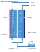 Machine de générateur d'eau d'acide hypochloreux électrolytique hocl à bas prix pour un usage domestique