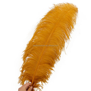 Plumes d'autruche dorées moelleuses en gros, 65-70 cm, pour centres de table de mariage, carnaval, vases, décoration d'événements et de fêtes - Product Image 1