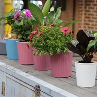 Pot de fleurs en plastique auto-arrosant écologique pour Pothos, grand réservoir d'eau, double pot pour jardin et usage domestique