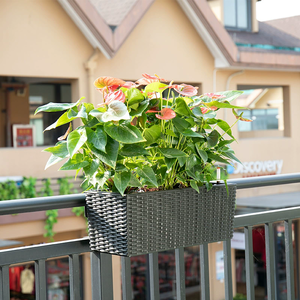 Bandes murales en rotin de style simple pour l'extérieur, disponibles en plusieurs couleurs, en plastique, idéales pour les pots de fleurs des personnes paresseuses - Product Image 4