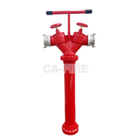 Hydrant extérieur durable DN100 à double sortie - Outil de lutte contre l'incendie à réponse rapide