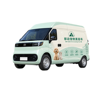 Fourgon de toilettage mobile pour animaux avec table de toilettage électrique et système de bain pour chiens et chats