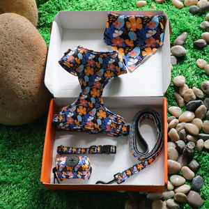 Gepersonaliseerde Ombre Hondentuig en -riemset met Neopreen, Polyester & Nylon, Gevoerd, Ecologisch, Modieus 2026 Design - Product Image 1