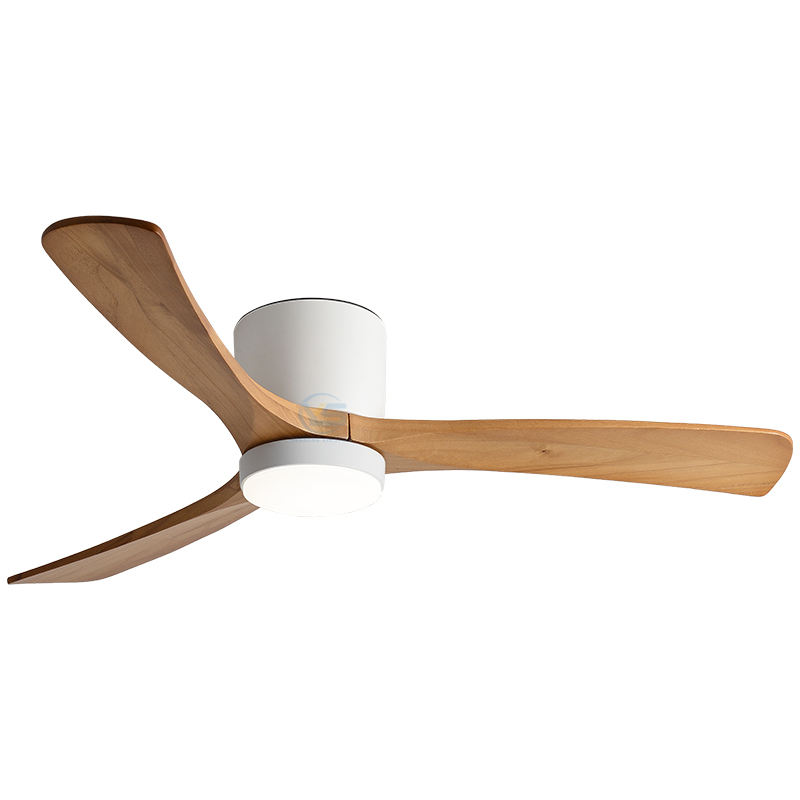 ขาว + เม็ดไม้