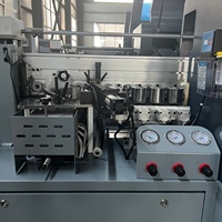 Machine à chantourner le bois avec 5 fonctions, entièrement automatique, certifiée CE, personnalisation possible, expédition rapide, haute qualité