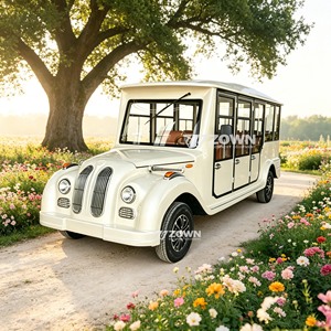 Navette touristique électrique vintage entièrement fermée, forme élégante pour le service des attractions touristiques - Product Image 2