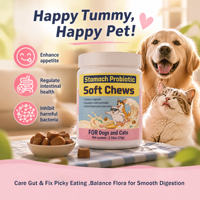 Soutien Premium pour la Santé Intestinale des Chiens et des Chats - Matrice Probiotique de Levure et de Bacillus - Flore Intestinale Équilibrée - Marque Blanche Vente en Gros