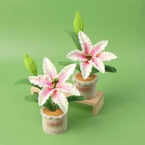 Maceta Decorativa Hecha a Mano con Flores de Zephyranthes Candida Tejidas a Crochet para Regalo de Halloween, Navidad o San Valentín - Product Image 1