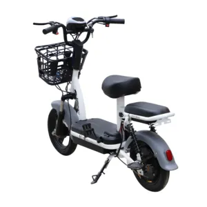 Giá Rẻ Điện Thành Phố Xe Đạp 350W Xe Đạp Điện Cho Người Lớn Hai Chỗ Ngồi Ebike