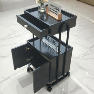 Carrito de Almacenamiento de Herramientas con Ruedas, Moderno, de Hierro, Ecológico, para Salón de Belleza, Peluquería, Oficina en Casa, Baño - Product Image 2