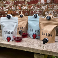Sac de café imprimé personnalisé de 1,5 L 3L dans une boîte biodégradable en papier kraft feuille d'aluminium pochette pour alcool et vin avec poignée de valve