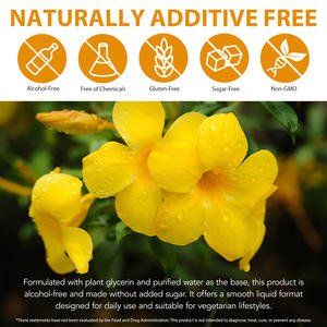 Acentiallabs Extrait Végétal de Griffes de Chat en Gouttes Liquides – Complément Alimentaire Pur Végétalien à Base de Teinture d'Herbe de Griffes de Chat <span class=keywords><strong>pour</strong></span> le Soutien de la Vitalité - Product Image 3