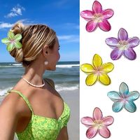 Pince à cheveux grande taille en plastique motif fleur de frangipanier dégradée pour l'été et la plage, vente en gros