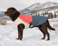 Veste de neige rembourrée pour chien, à blocs de couleur, avec sangle à boucle réglable, gilet sans manches pour chiens de taille moyenne et grande, Labrador