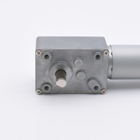 Boîte de vitesses à vis sans fin TYHE, fabricant, 12v 24v, faible puissance, 5w, couple élevé, 10kg, faible vitesse, 100 tr/min, micro moteur à vis sans fin à courant continu brossé RS395