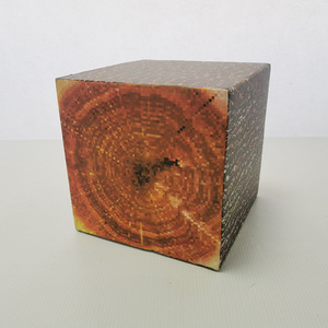 MultiSided WoodGrain EVA Foam Marker Block with Ring Pattern for Outdoor Positioning Practice Lightweight Durable Cube - Product Image 6