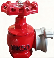Hydrant d'incendie intérieur en fonte ductile de haute qualité 16K50 de 2 pouces pour la Russie et le Vietnam