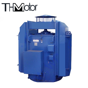 Pompe à eau électrique synchronisée verticale AC IP54 12000kw 3 Hp, moteur personnalisé - Product Image 2