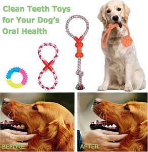 Lot de jouets pour chiens en peluche TPR avec corde et sac à excréments, vente en gros du fabricant - Product Image 4