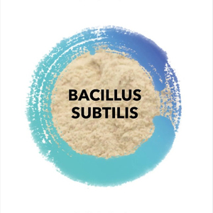 Probiotici animali per acquacoltura di alta qualità grado di alimentazione bacillus subtilis completamente solubile in acqua - Product Image 1