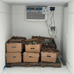 Remolque Refrigerado Móvil de Alta Eficiencia 5x10 para Transporte de Alimentos y Medicamentos con Control de Temperatura Ajustable, Envío Gratuito - Product Image 1