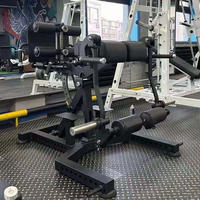 Machine d'extension pour les hanches et les glutei TOPTONS, nouvelle conception, équipement de musculation professionnel, hyperextension inversée
