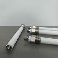 Sanqiaohui PTFE SUS304 3/8NPT Électrode de niveau d'eau, interrupteur de niveau de liquide, capteurs de haute qualité 24VDC/110VAC/220VAC/380VAC