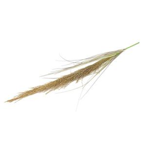 Planta <span class=keywords><strong>Artificial</strong></span> Pequeña, Estilo Selva, Tacto Real, <span class=keywords><strong>Flor</strong></span> <span class=keywords><strong>Artificial</strong></span>, Bajo MOQ, 2026, <span class=keywords><strong>Flor</strong></span> Seca para Sala de Estar, Juncos Simulados - Product Image 4