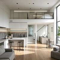 Cuisine Modulaire Moderne en Acier Inoxydable, Solution de Projet Personnalisée, Couleur Personnalisée, Charnières en Marbre, Garantie 5 Ans, Style Loft