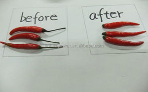 เครื่องแยกก้านพริกแบบใหม่ ราคาโรงงาน พร้อมมอเตอร์ แรงดันไฟฟ้า 220V/380V ลดราคา - Product Image 2