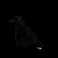 Peluche réaliste de corbeau américain, jouet en peluche doux pour enfants et amoureux des oiseaux