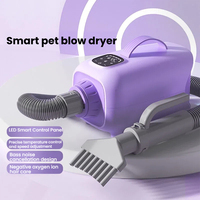 Sèche-cheveux professionnel rechargeable portable haute vitesse pour chiens, avec écran tactile LED intelligent et ions négatifs, idéal pour les grandes races