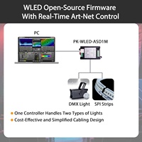 Pknight SPI-ASD1M Art-Net SACN DMX LED Controller Bodi Plastik 2700K Soft Warm White WLED Firmware 512 2048 Saluran SPI Panggung