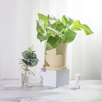Pot & Planter Bunga Porselen Dekoratif Kecil yang Ramah Lingkungan & Lucu dengan Finishing Matte untuk Taman Dalam Ruangan di Rumah