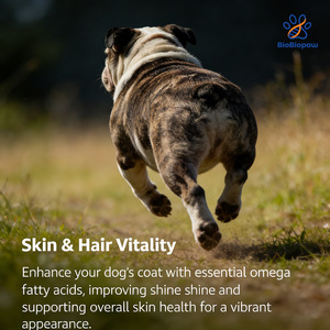 OEM/ODM 3'ü 1 Arada Köpek Çiğneme Tabletleri ve Multivitaminli Ödül Mamaları, Yavru ve Yetişkin Köpekler İçin Deri ve Tüy Bakımı, Eklem Desteği Yumuşak Çiğneme Tabletleri - Product Image 4