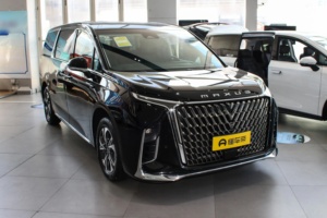 Hot bán Trung Quốc tự động mới <span class=keywords><strong>MVP</strong></span> xe saic maxus G90 với 6 hoặc 7 chỗ ngồi - Product Image 4