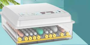 Hot Bán Trong Nigeria Nhỏ Tự Động Trứng Lồng Ấp Tùy Chỉnh 24-100egg Tự Động Lồng Ấp Cho Gà Và Vịt Trứng - Product Image 3
