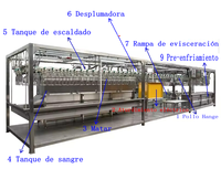 Ligne d'abattage de poulets mobile compacte 500 BPH, adaptable aux exploitations locales, facile à utiliser