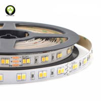 DC24V réglable LED bande Flexible double blanc CCT 2700-6500K 15 W/m USB connectivité télécommande commutateur cuivre corps IP20 évalué