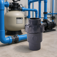 Vanne de retenue industrielle UPVC à union vraie 1 pouce, vanne à boisseau sphérique en PVC anti-retour pour système de traitement de l'eau, résistante à la corrosion
